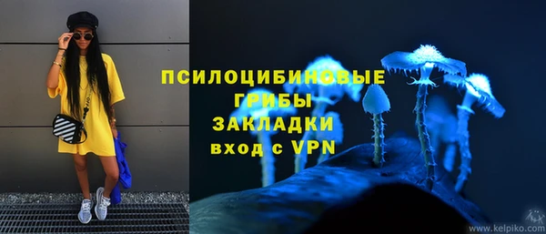 COCAINE Богородицк