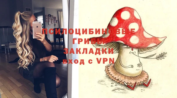 COCAINE Богородицк
