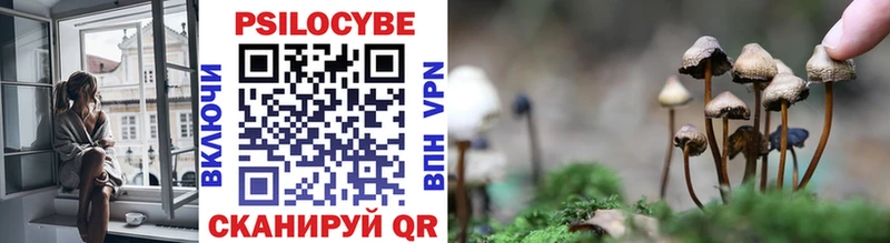 Псилоцибиновые грибы мухоморы  Данков 